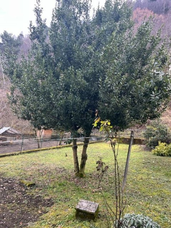 casa indipendente in vendita a Colorina