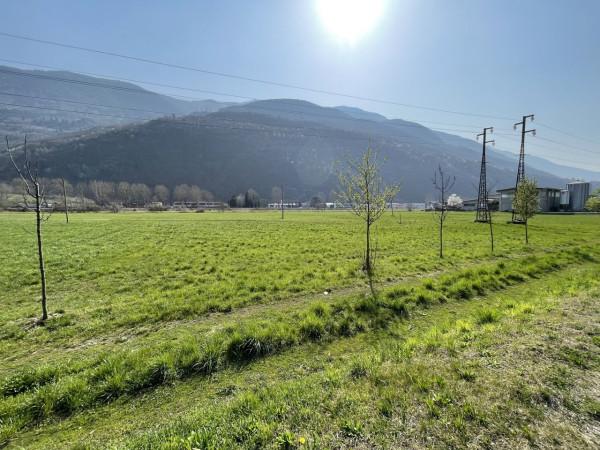 terreno agricolo in vendita a Cosio Valtellino