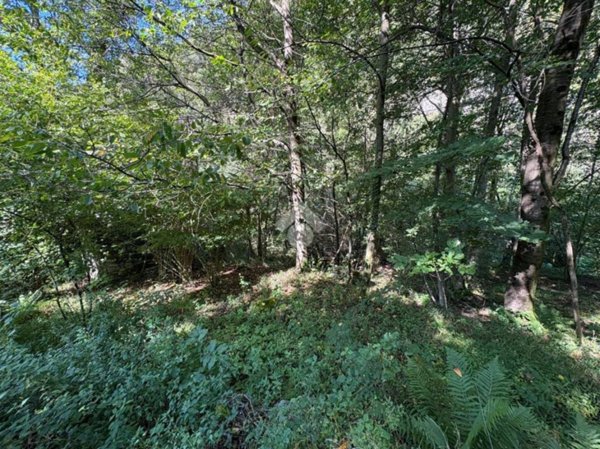 casa indipendente in vendita a Dazio