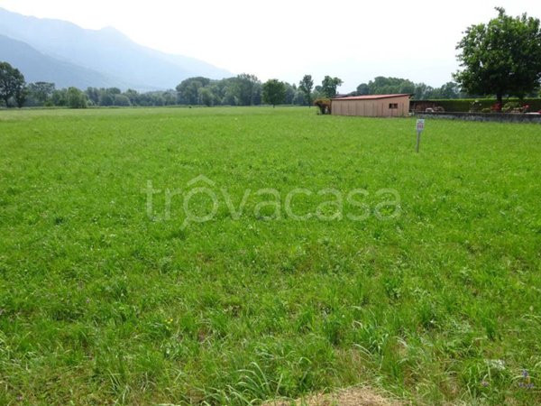 terreno edificabile in vendita a Dubino