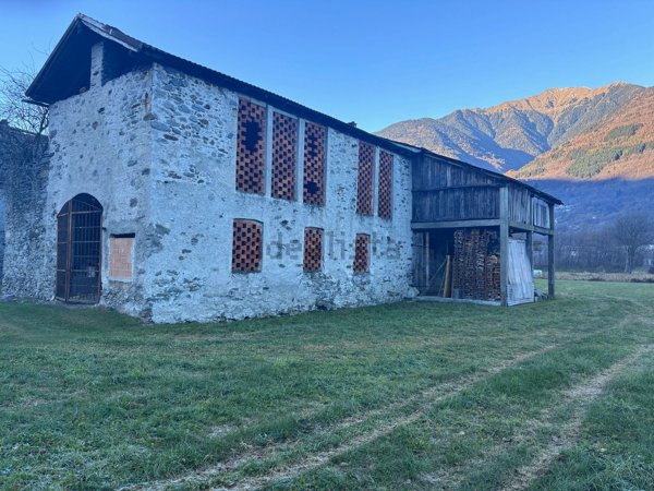 terreno agricolo in vendita a Fusine