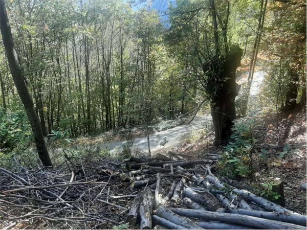 terreno agricolo in vendita a Gordona in zona Menarola