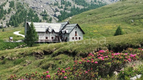 negozio in vendita a Lanzada