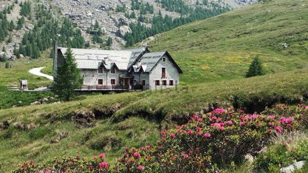 casa indipendente in vendita a Lanzada