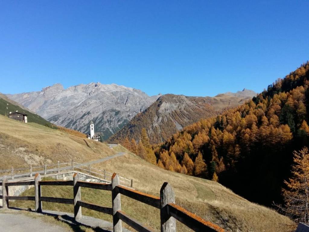appartamento in vendita a Livigno