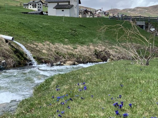 appartamento in vendita a Livigno in zona Trepalle