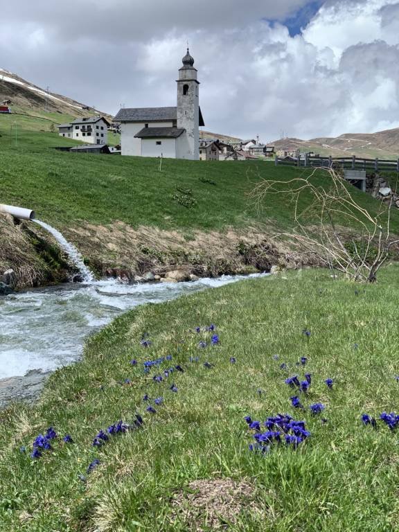 appartamento in vendita a Livigno in zona Trepalle