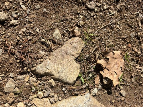 terreno edificabile in vendita a Livigno in zona Trepalle