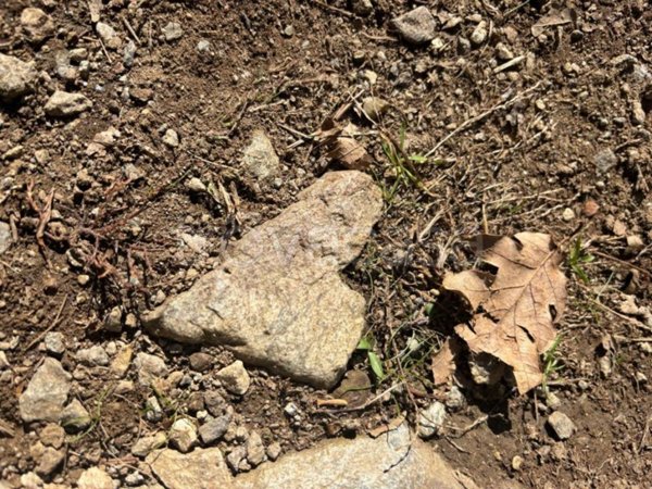 terreno edificabile in vendita a Livigno in zona Trepalle