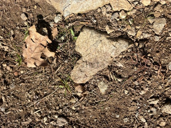 terreno edificabile in vendita a Livigno in zona Trepalle