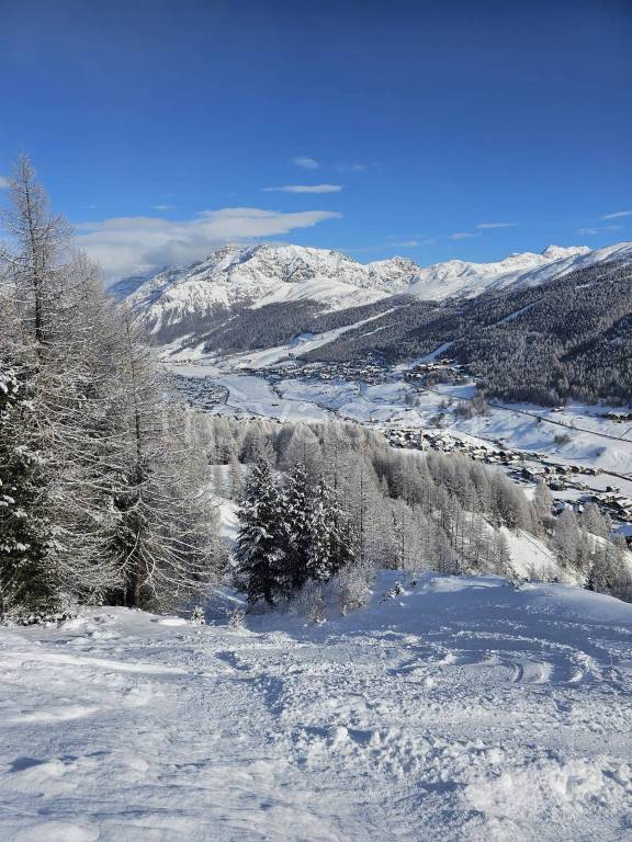 appartamento in vendita a Livigno