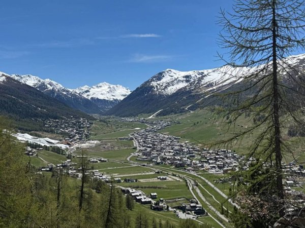 appartamento in vendita a Livigno