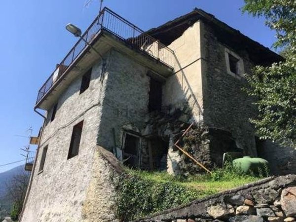 esavano in vendita a Montagna in Valtellina