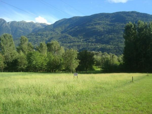 terreno agricolo in vendita a Morbegno