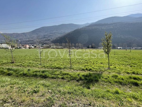 terreno agricolo in vendita a Morbegno in zona Campovico