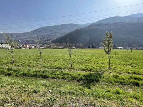 immagine annuncio 0 di 1