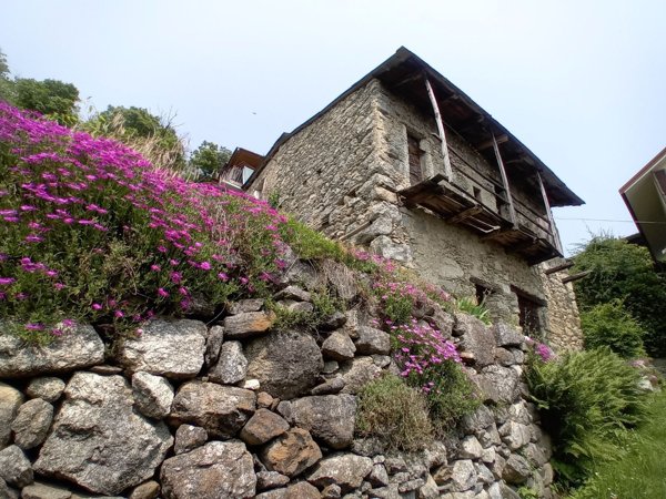 quadrivano in vendita a Morbegno