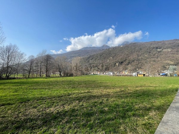 terreno agricolo in vendita a Morbegno