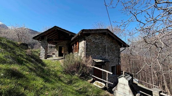 esavano in vendita a Morbegno