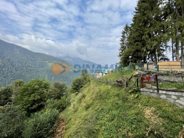 casa indipendente in vendita a Morbegno