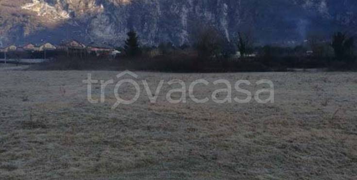 terreno agricolo in vendita a Novate Mezzola