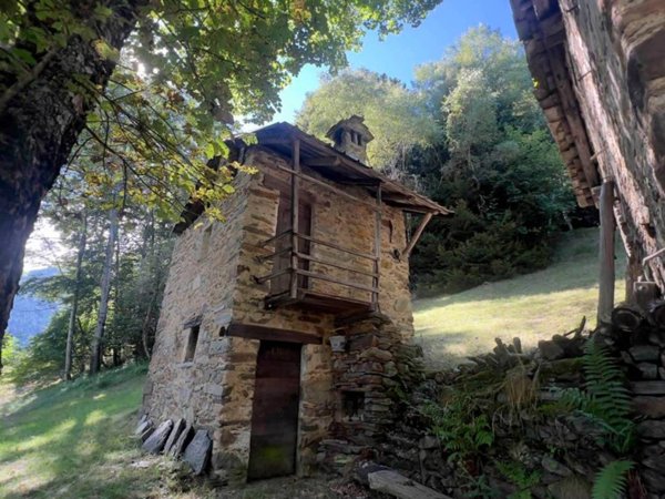 pentavano in vendita a Pedesina