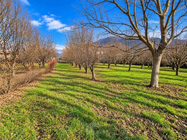 terreno in vendita a Piantedo