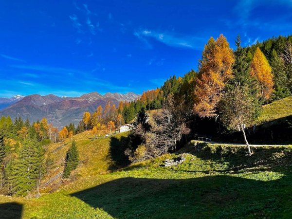 casa indipendente in vendita a Piateda
