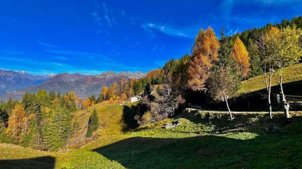 casa indipendente in vendita a Piateda