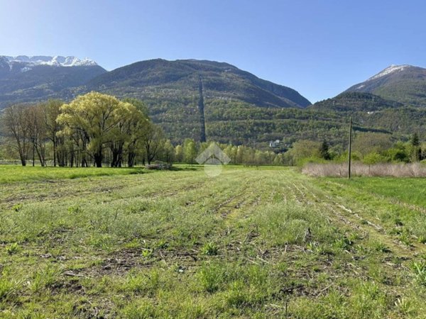terreno agricolo in vendita a Poggiridenti