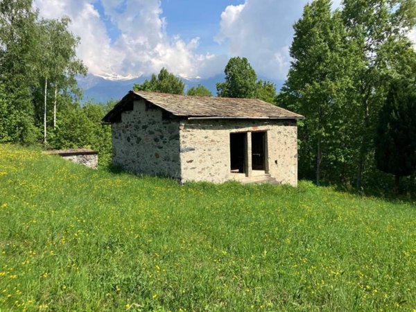 casa indipendente in vendita a Ponte in Valtellina