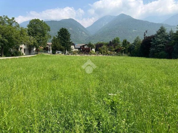 terreno agricolo in vendita a Postalesio