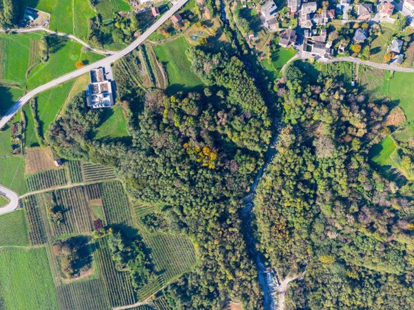 terreno agricolo in vendita a Postalesio