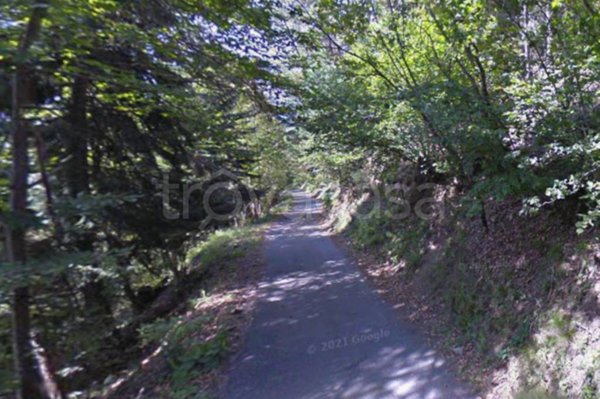 terreno agricolo in vendita a Postalesio