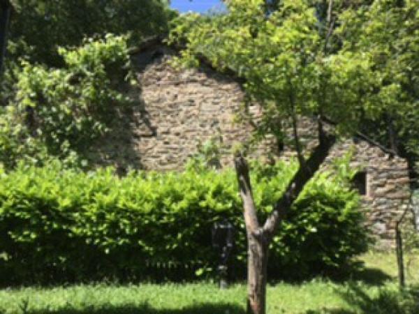 negozio in vendita a Rasura