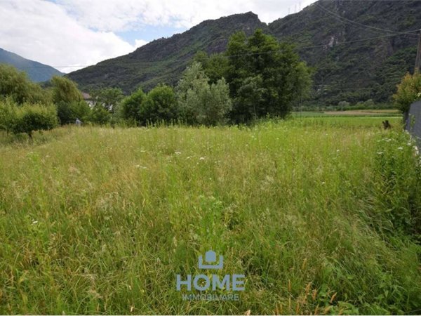 terreno agricolo in vendita a Samolaco