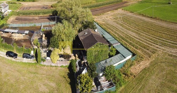 azienda agricola in vendita a Samolaco