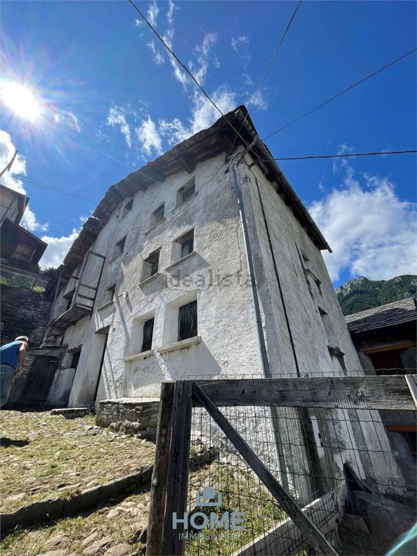 esavano in vendita a San Giacomo Filippo in zona Olmo