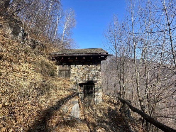 casa indipendente in vendita a San Giacomo Filippo in zona Olmo