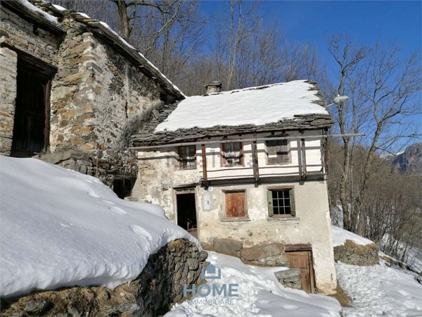 esavano in vendita a San Giacomo Filippo in zona Olmo