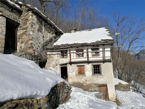 esavano in vendita a San Giacomo Filippo in zona Olmo