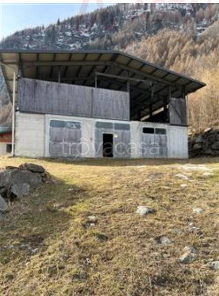 locale commerciale in vendita a San Giacomo Filippo in zona Vho