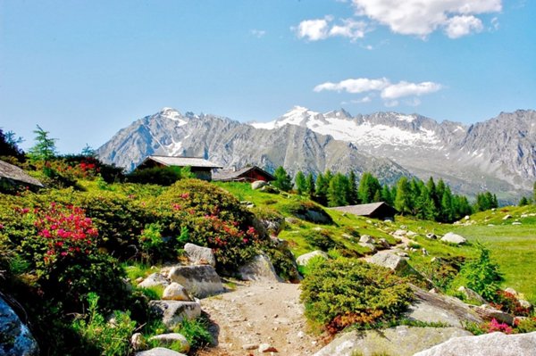 terreno edificabile in vendita a Sondrio