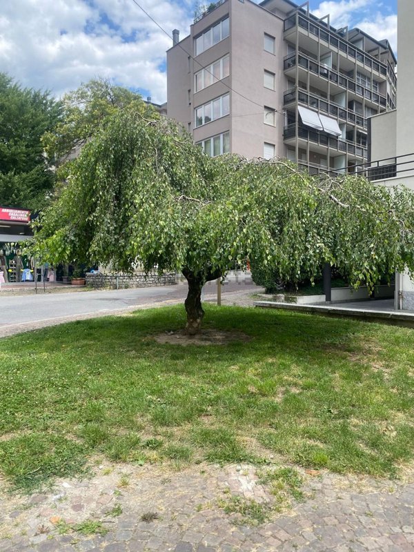 appartamento in vendita a Sondrio in zona Centro Città