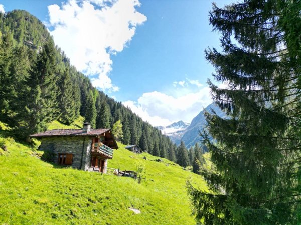 casa indipendente in vendita a Tartano