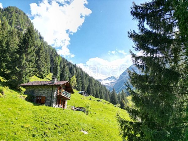 immagine annuncio 0 di 15