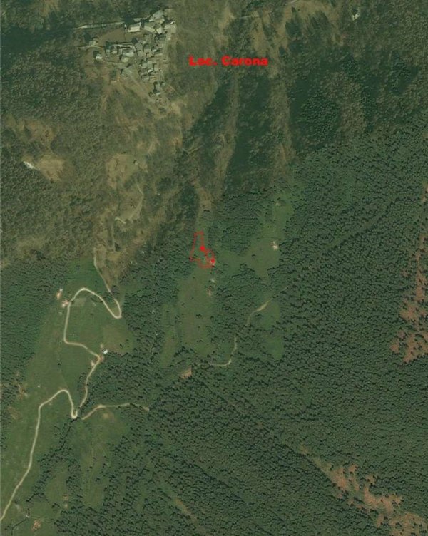 terreno agricolo in vendita a Teglio