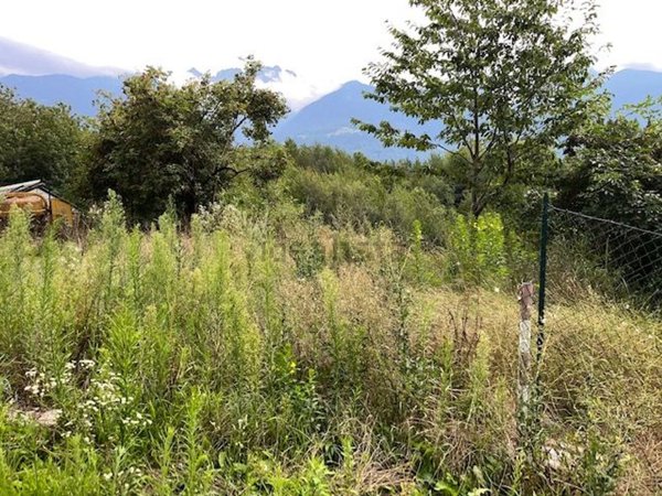 casa indipendente in vendita a Teglio