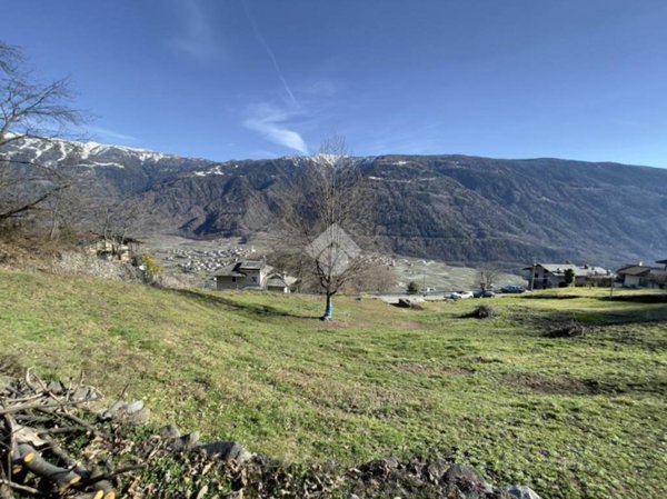 terreno agricolo in vendita a Tirano in zona Baruffini