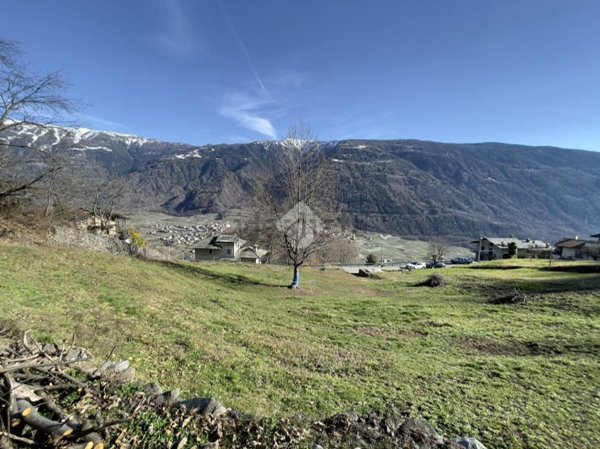 terreno edificabile in vendita a Tirano in zona Baruffini